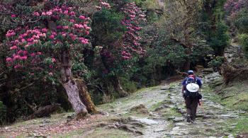 Deoriatal Chandrashila ( India's best panorama view )