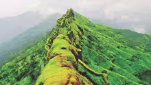 Sahyadri Combo - Bhimashankar ,Jivdhan Fort , Gorakhgad, Naneghat Reverse Fall banner